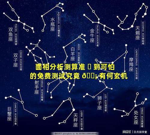 面相分析测算准 ☘ 到可怕的免费测试究竟 🐡 有何玄机